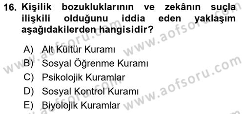 Sokak Sosyal Hizmeti Ve Adli Sosyal Hizmet Dersi 2018 - 2019 Yılı 3 Ders Sınavı 16. Soru