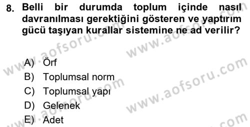 Sokak Sosyal Hizmeti Ve Adli Sosyal Hizmet Dersi 2018 - 2019 Yılı 3 Ders Sınavı 8. Soru