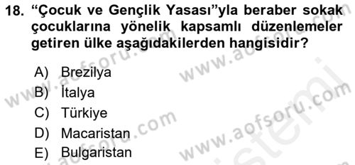 Sokak Sosyal Hizmeti Ve Adli Sosyal Hizmet Dersi 2018 - 2019 Yılı (Vize) Ara Sınav Soruları 18. Soru