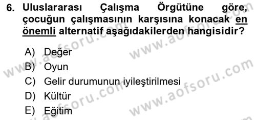Sokak Sosyal Hizmeti Ve Adli Sosyal Hizmet Dersi 2018 - 2019 Yılı (Vize) Ara Sınav Soruları 6. Soru