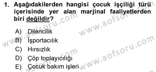 Sokak Sosyal Hizmeti Ve Adli Sosyal Hizmet Dersi 2018 - 2019 Yılı (Final) Dönem Sonu Sınav Soruları 1. Soru