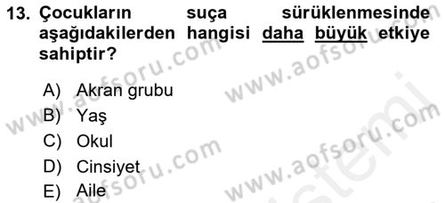 Sokak Sosyal Hizmeti Ve Adli Sosyal Hizmet Dersi 2018 - 2019 Yılı (Final) Dönem Sonu Sınav Soruları 13. Soru