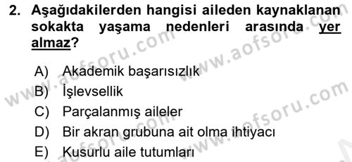 Sokak Sosyal Hizmeti Ve Adli Sosyal Hizmet Dersi 2018 - 2019 Yılı (Final) Dönem Sonu Sınav Soruları 2. Soru