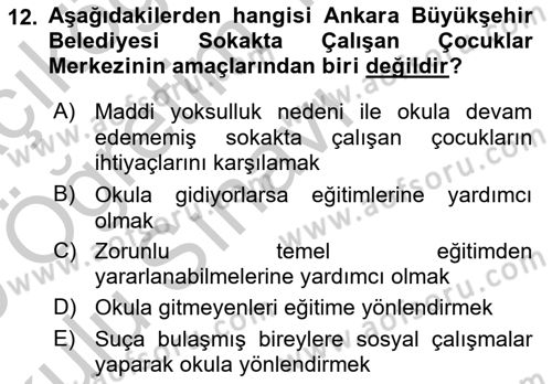 Sokak Sosyal Hizmeti Ve Adli Sosyal Hizmet Dersi 2018 - 2019 Yılı Yaz Okulu Sınav Soruları 12. Soru