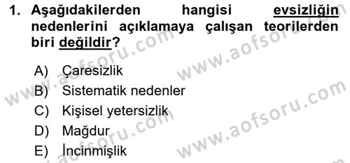 Sokak Sosyal Hizmeti Ve Adli Sosyal Hizmet Dersi 2020 - 2021 Yılı Yaz Okulu Sınav Soruları 1. Soru