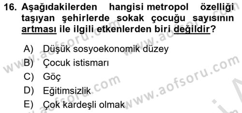Sokak Sosyal Hizmeti Ve Adli Sosyal Hizmet Dersi 2020 - 2021 Yılı Yaz Okulu Sınav Soruları 16. Soru