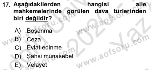 Sokak Sosyal Hizmeti Ve Adli Sosyal Hizmet Dersi 2020 - 2021 Yılı Yaz Okulu Sınav Soruları 17. Soru