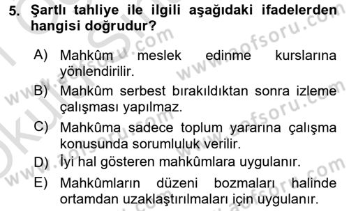 Sokak Sosyal Hizmeti Ve Adli Sosyal Hizmet Dersi 2020 - 2021 Yılı Yaz Okulu Sınav Soruları 5. Soru