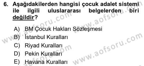 Sokak Sosyal Hizmeti Ve Adli Sosyal Hizmet Dersi 2020 - 2021 Yılı Yaz Okulu Sınav Soruları 6. Soru