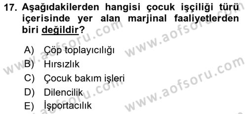 Sokak Sosyal Hizmeti Ve Adli Sosyal Hizmet Dersi 2021 - 2022 Yılı (Vize) Ara Sınav Soruları 17. Soru