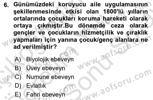 Sokak Sosyal Hizmeti Ve Adli Sosyal Hizmet Dersi 2021 - 2022 Yılı (Final) Dönem Sonu Sınav Soruları 6. Soru