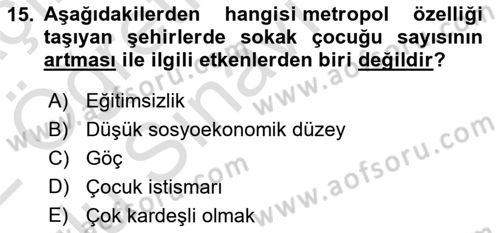 Sokak Sosyal Hizmeti Ve Adli Sosyal Hizmet Dersi 2021 - 2022 Yılı Yaz Okulu Sınav Soruları 15. Soru