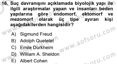 Sokak Sosyal Hizmeti Ve Adli Sosyal Hizmet Dersi 2021 - 2022 Yılı Yaz Okulu Sınav Soruları 16. Soru