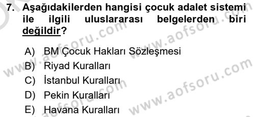 Sokak Sosyal Hizmeti Ve Adli Sosyal Hizmet Dersi 2021 - 2022 Yılı Yaz Okulu Sınav Soruları 7. Soru