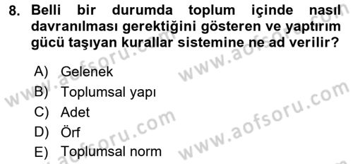 Sokak Sosyal Hizmeti Ve Adli Sosyal Hizmet Dersi 2021 - 2022 Yılı Yaz Okulu Sınav Soruları 8. Soru