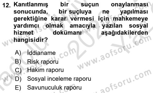 Sokak Sosyal Hizmeti Ve Adli Sosyal Hizmet Dersi 2022 - 2023 Yılı Yaz Okulu Sınav Soruları 12. Soru