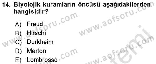 Sokak Sosyal Hizmeti Ve Adli Sosyal Hizmet Dersi 2022 - 2023 Yılı Yaz Okulu Sınav Soruları 14. Soru