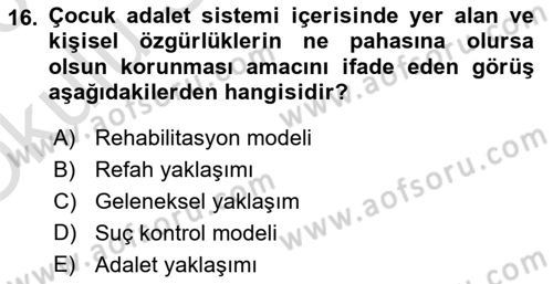 Sokak Sosyal Hizmeti Ve Adli Sosyal Hizmet Dersi 2022 - 2023 Yılı Yaz Okulu Sınavı 16. Soru