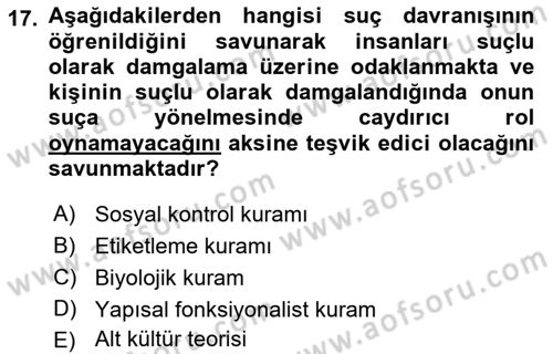 Sokak Sosyal Hizmeti Ve Adli Sosyal Hizmet Dersi 2022 - 2023 Yılı Yaz Okulu Sınav Soruları 17. Soru