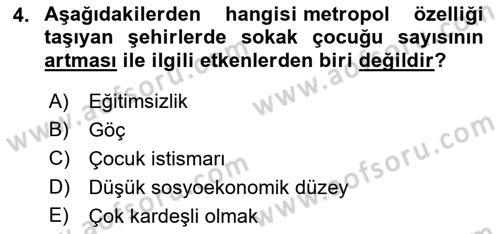 Sokak Sosyal Hizmeti Ve Adli Sosyal Hizmet Dersi 2022 - 2023 Yılı Yaz Okulu Sınav Soruları 4. Soru