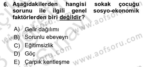 Sokak Sosyal Hizmeti Ve Adli Sosyal Hizmet Dersi 2022 - 2023 Yılı Yaz Okulu Sınav Soruları 6. Soru