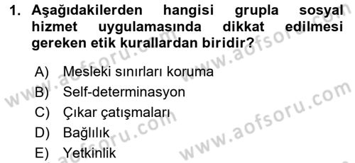 Sosyal Hizmet Etiği Dersi 2023 - 2024 Yılı Yaz Okulu Sınav Soruları 1. Soru