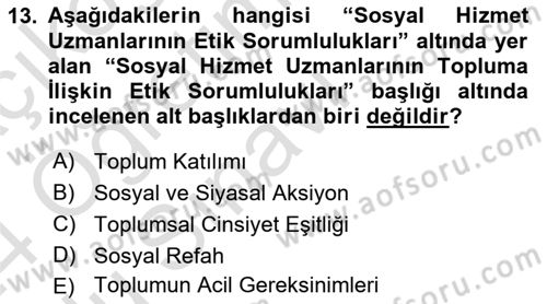 Sosyal Hizmet Etiği Dersi 2023 - 2024 Yılı Yaz Okulu Sınav Soruları 13. Soru