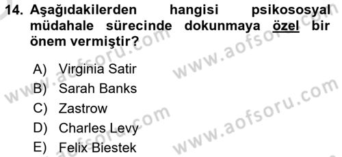 Sosyal Hizmet Etiği Dersi 2023 - 2024 Yılı Yaz Okulu Sınav Soruları 14. Soru