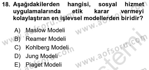 Sosyal Hizmet Etiği Dersi Ara Sınavı Deneme Sınav Soruları 18. Soru