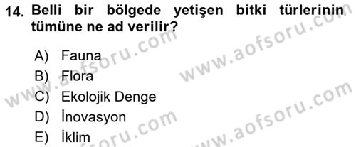 Toplumla Sosyal Hizmet Dersi 2020 - 2021 Yılı Yaz Okulu Sınav Soruları 14. Soru