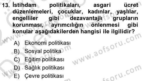Toplumla Sosyal Hizmet Dersi 2021 - 2022 Yılı (Final) Dönem Sonu Sınav Soruları 13. Soru