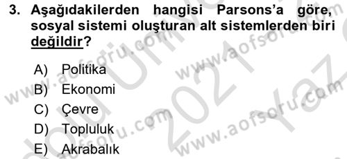 Toplumla Sosyal Hizmet Dersi 2021 - 2022 Yılı Yaz Okulu Sınav Soruları 3. Soru