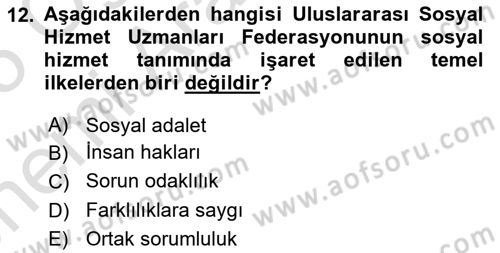 Toplumla Sosyal Hizmet Dersi 2024 - 2025 Yılı (Vize) Ara Sınav Soruları 12. Soru