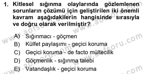Göçmen Ve Sığınmacılarla Sosyal Hizmet Dersi 2023 - 2024 Yılı Yaz Okulu Sınav Soruları 1. Soru