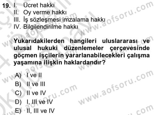 Göçmen Ve Sığınmacılarla Sosyal Hizmet Dersi 2023 - 2024 Yılı Yaz Okulu Sınav Soruları 19. Soru