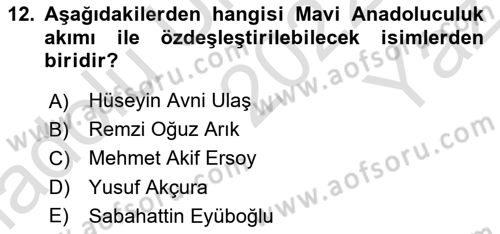 Türk Siyasal Hayatı Dersi 2022 - 2023 Yılı Yaz Okulu Sınav Soruları 12. Soru