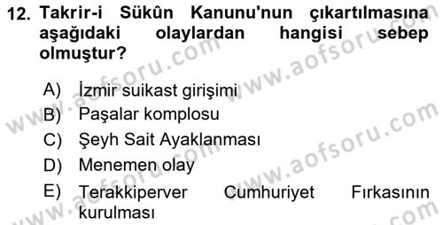Türk Siyasal Hayatı Dersi 2024 - 2025 Yılı (Vize) Ara Sınav Soruları 12. Soru