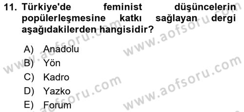 Türk Siyasal Hayatı Dersi 2024 - 2025 Yılı Yaz Okulu Sınav Soruları 11. Soru