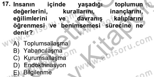 Siyaset Bilimi Dersi 2012 - 2013 Yılı (Vize) Ara Sınav Soruları 17. Soru