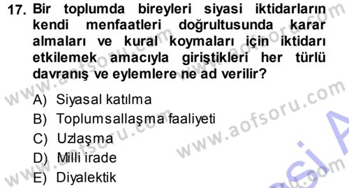 Siyaset Bilimi Dersi Ara Sınavı Deneme Sınav Soruları 17. Soru