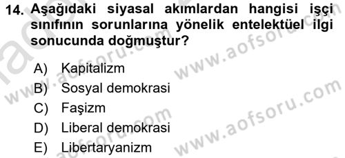 Siyaset Bilimi Dersi Ara Sınavı Deneme Sınav Soruları 14. Soru