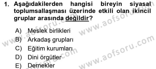 Siyaset Bilimi Dersi 2016 - 2017 Yılı (Final) Dönem Sonu Sınav Soruları 1. Soru