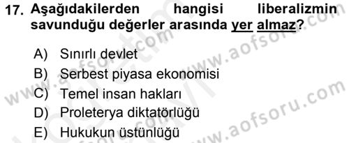 Siyaset Bilimi Dersi 2017 - 2018 Yılı 3 Ders Sınav Soruları 17. Soru