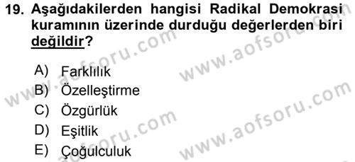 Siyaset Bilimi Dersi 2017 - 2018 Yılı 3 Ders Sınav Soruları 19. Soru