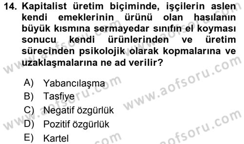 Siyaset Bilimi Dersi 2017 - 2018 Yılı (Vize) Ara Sınav Soruları 14. Soru