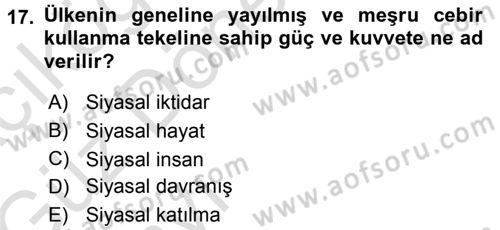 Siyaset Bilimi Dersi Ara Sınavı Deneme Sınav Soruları 17. Soru