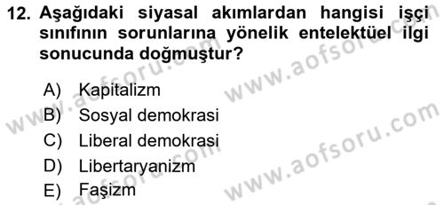 Siyaset Bilimi Dersi 2019 - 2020 Yılı (Vize) Ara Sınav Soruları 12. Soru