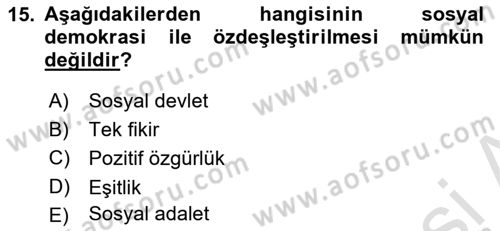 Siyaset Bilimi Dersi 2021 - 2022 Yılı (Vize) Ara Sınav Soruları 15. Soru