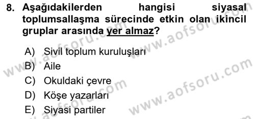 Siyaset Bilimi Dersi 2021 - 2022 Yılı Yaz Okulu Sınav Soruları 8. Soru