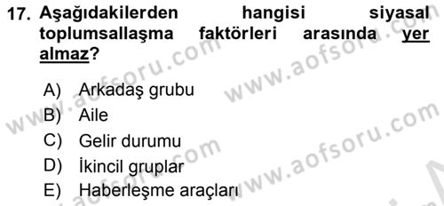 Siyaset Bilimi Dersi Ara Sınavı Deneme Sınav Soruları 17. Soru